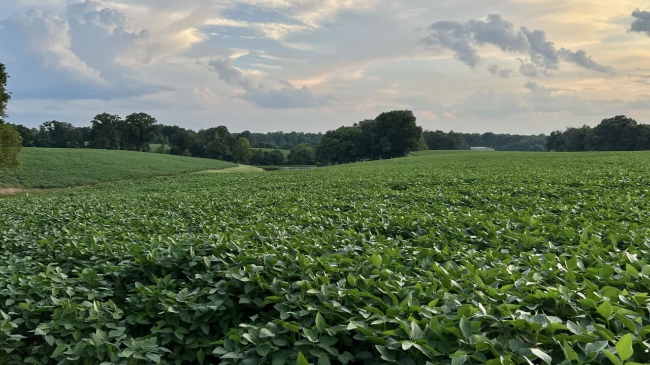 Rudy Farm